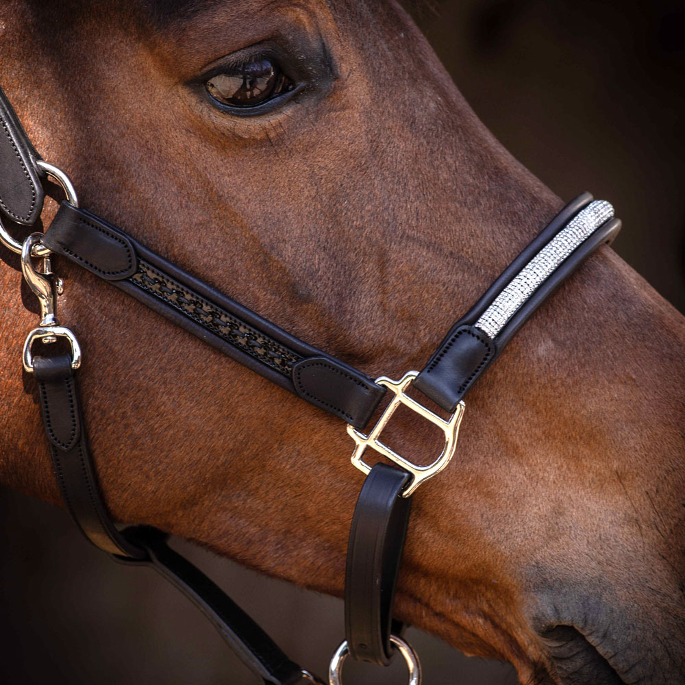 ペネロペ レザー無口 ハーモニー | 無口・引手 | 乗馬用品 ハフリンガーMAX