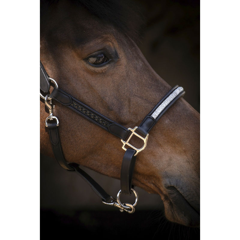 ペネロペ レザー無口 ハーモニー | 無口・引手 | 乗馬用品 ハフリンガーMAX