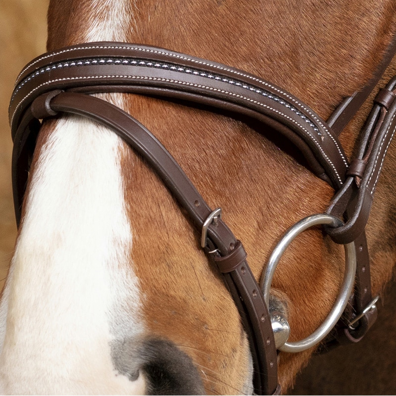 美品！BD水勒頭絡+布手綱付き ＋ハミ 乗馬 頭絡 手綱 PASSIER＞ 水勒頭絡 Marcus Ehning II（マーカス