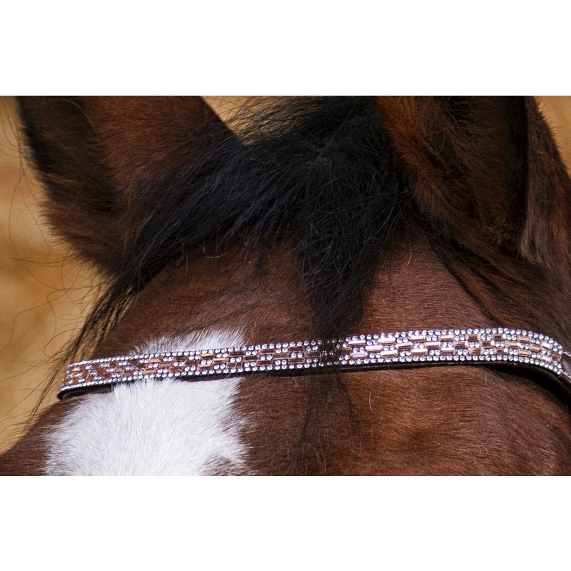 水勒用頭絡 NortonPRO プリンセスブライドル | 頭絡・手綱・ハミ