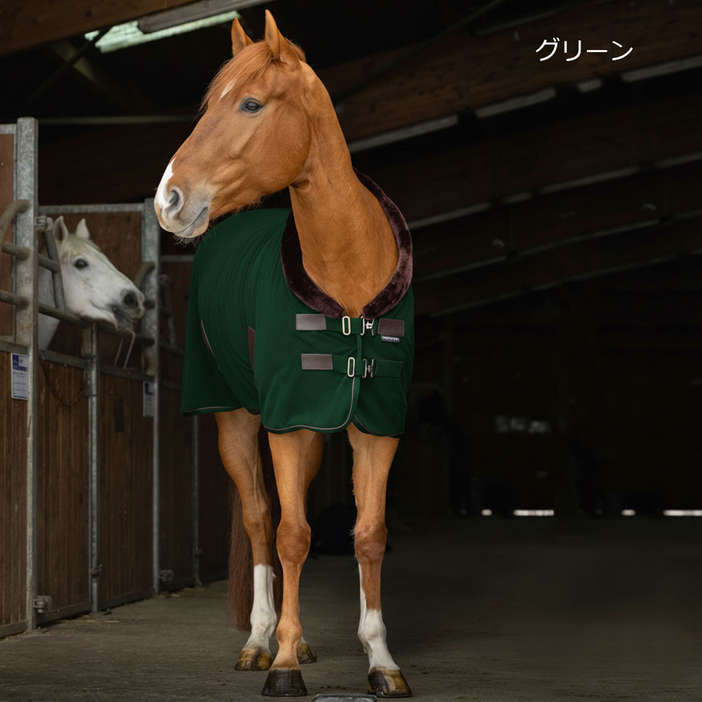 Equi-Theme テディフリースラグ | 馬着・エクササイズシート,薄馬着