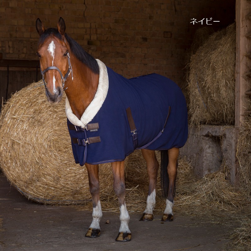 2_000000002386.jpg?1736994987