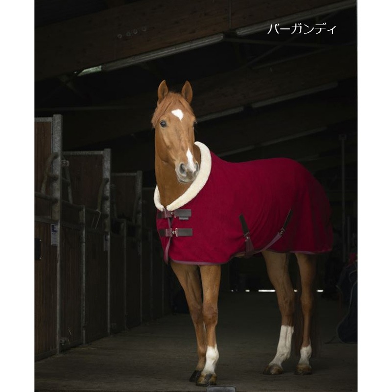 Equi-Theme テディフリースラグ | 馬着・エクササイズシート,薄馬着