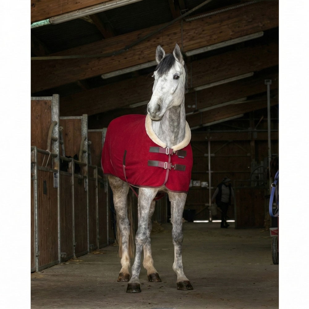 Equi-Theme テディフリースラグ | 馬着・エクササイズシート,薄馬着