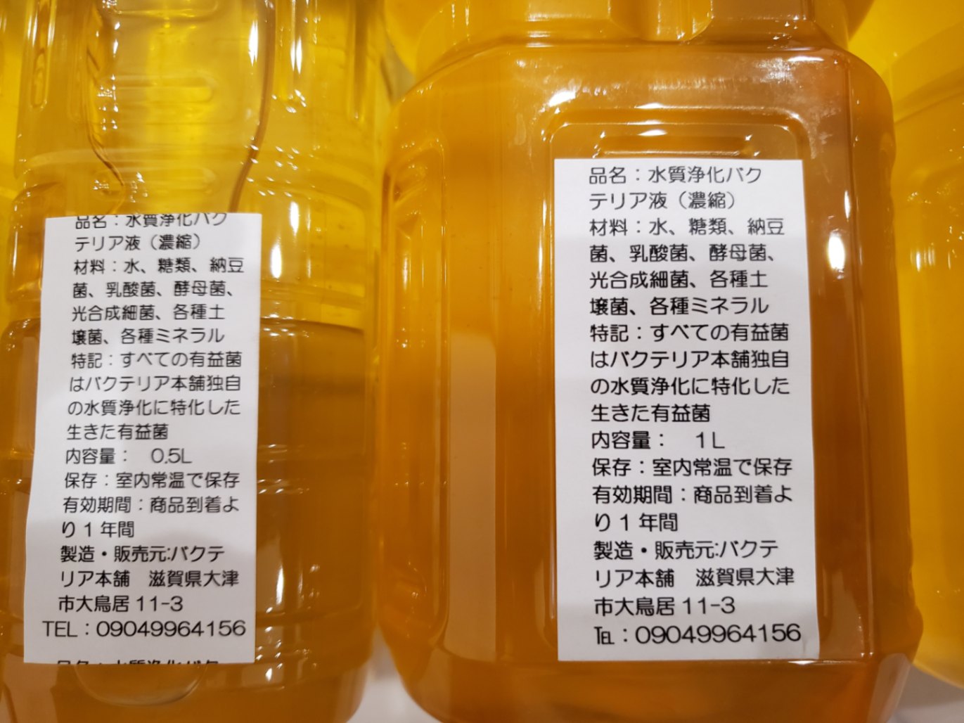 公式・バクテリア本舗】PSB強化 弁慶 水質浄化複合バクテリア液（2L 