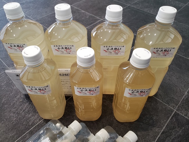 ¡Ú¸ø¼°¡¦¥Ð¥¯¥Æ¥ê¥¢ËÜÊÞ¡ÛPSB¶¯²½ ¾®¼¡ÏºEX ¿å¼Á¾ô²½Ê£¹ç¥Ð¥¯¥Æ¥ê¥¢±Õ¡Ê20£Ì¡Ë