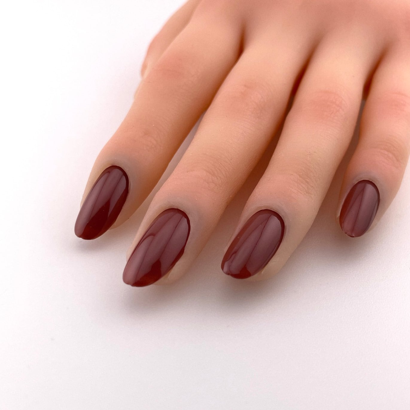 バカラ　エンジェル スワロフスキー置物・アクセサリー専門店 ☆プラネタリウム☆