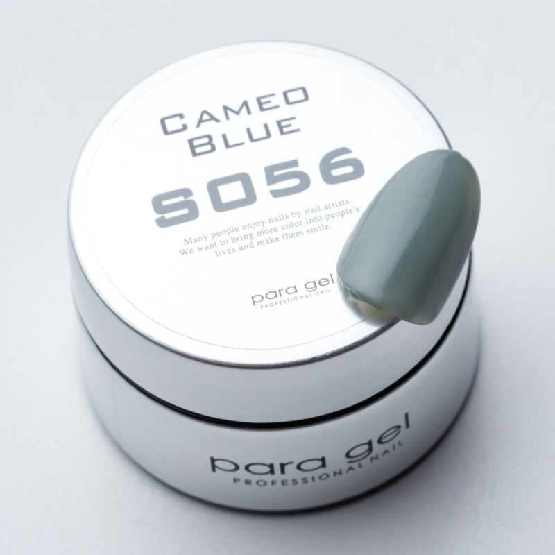 パラポリッシュ82色 パラポリッシュ82色 キャンメイク カラフルネイルズ N82 クラウドレス