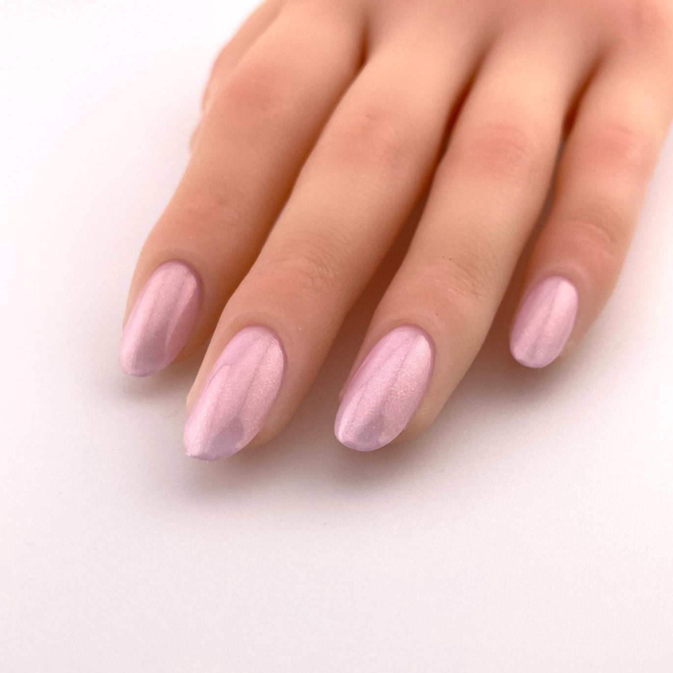 AS6 チェリーブロッサム | すべての商品 | | para gel onlineshop