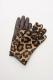 �쥪�ѡ������쥶���������֡��֥饦��[GIGLIO FIORENTINO] 557/LEOPARDONE