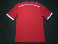 ウェールズ代表　14　ホーム　半袖　ユニフォーム　ADIDAS|欧州各国代表|完売モデル（次回入荷未定）