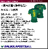 ＜オフィシャルマーキングシート＞カメルーン代表14ホーム用シート|オフィシャルシート＆パッチ|完売モデル（次回入荷未定）
