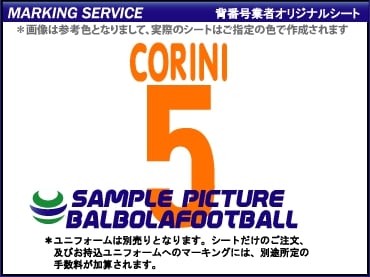 ��ȼ�����ѥ���2004-2005�����ץ�����