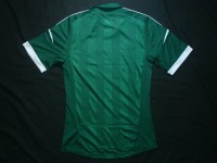 パナシナイコス　12　ホーム　半袖　ユニフォーム　ADIDAS　2012シーズン|その他各国リーグ|完売モデル（次回入荷未定）