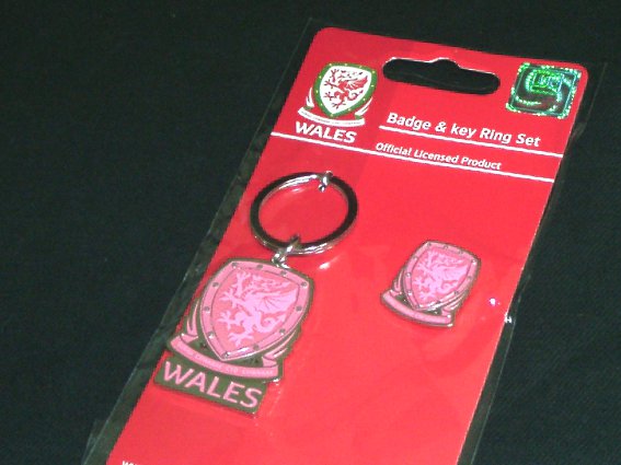 UK ウェールズ　関係者用 ピンバッジ 6752e25d46950cc45130c44cb5e70d