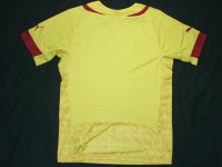 カメルーン代表　14　アウェイ　半袖　ユニフォーム　PUMA　FIFAワールドカップ2014|その他各国代表|完売モデル（次回入荷未定）