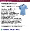 ＜オフィシャル＞ウルグアイ代表18ホーム用シート