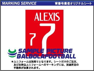 ��ȼ����������ɽ2016�����ץ�����