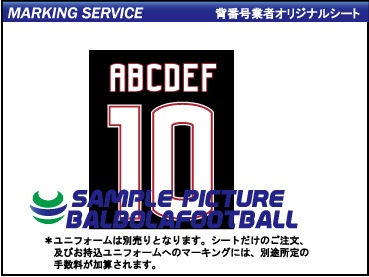 ��ȼ����䥢��å���2016-2017�����ץ�����