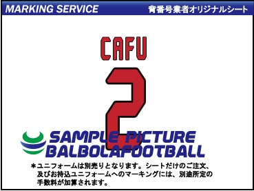 ��ȼ�����AC�ߥ��2006-2007�����ץ�����