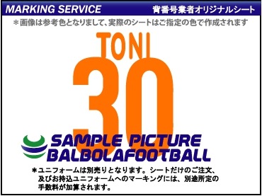 ��ȼ�����ե������ƥ�����2005-2006�����ץ�����