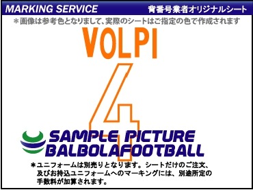 ��ȼ����䥵��ץɥꥢ2006-2007�����ץ�����