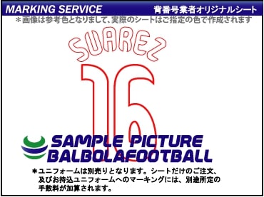 ��ȼ����䥢��å���2009-2010�����ץ�����