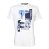 トッテナム　チームオフィシャル　80450　AUDERE EST FACERE PHOTO　Tシャツ　半袖