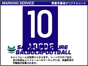 ��ȼ�����ܥ�����˥�����2016-2017�����ץ�����