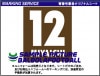 ＜業者製＞FCザンクトパウリ2014-2015タイプシート|その他チーム用|ブンデスリーガのマーキング（チーム名は50音順）