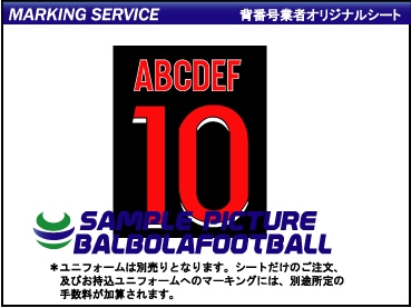 ��ȼ�����꡼��������2020-�����ץ�����