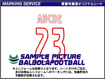 ��ȼ����䥢��å���2020-2021�����ץ�����