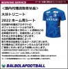 ＜オフィシャル＞大分トリニータ22ホーム用シート|Jリーグ用（オフィシャル）|その他各国リーグのマーキング