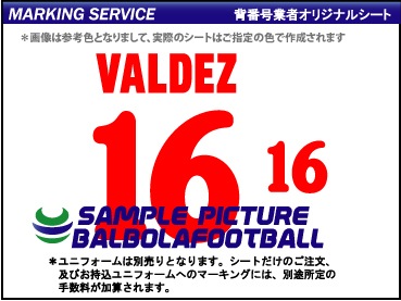 ��ȼ�����ᥭ������ɽ1994�����ץ�����