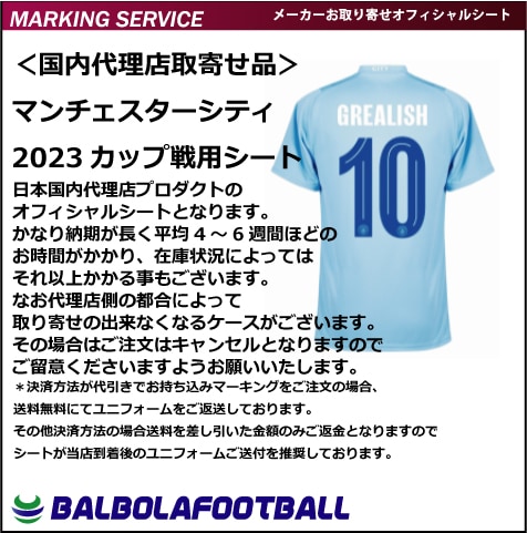 オフィシャル＞マンチェスターシティ23カップ戦用オフィシャルシート