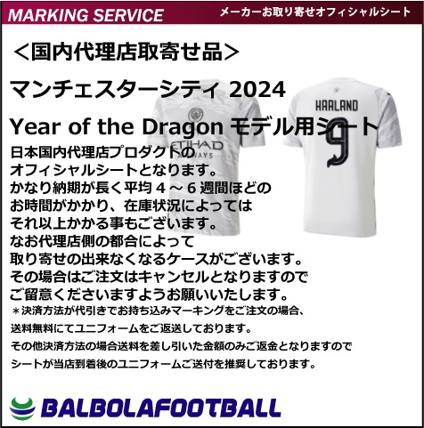 㥪եޥƥ2024Year of the Dragonǥѥե륷