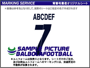 ��ȼ�����ѥꥵ�󥸥���ޥ�2023-2024���å��勵���ץ�����