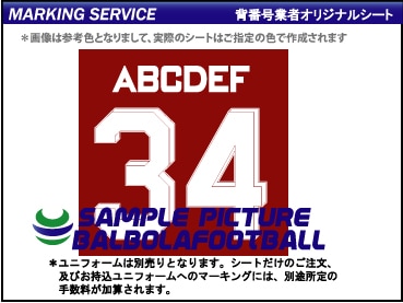 ��ȼ����䥢�����ʥ�2023-2024���å��勵���ץ�����