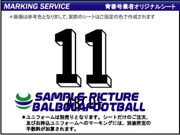 ��ȼ�����ܥ륷���ɥ�ȥ���2023-2024�����ץ�����