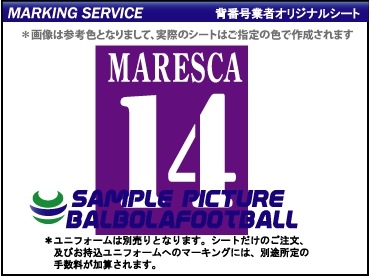 ��ȼ�����ե������ƥ�����2004-2005�����ץ�����