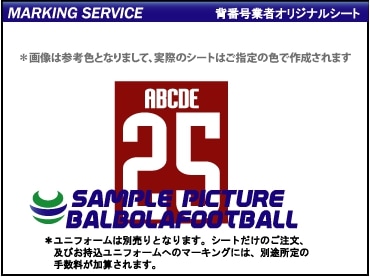 ��ȼ�����Х������2001-2002���å����ѥ����ץ�����