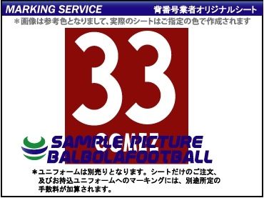 ��ȼ�����Х������2008-2009�����ץ�����