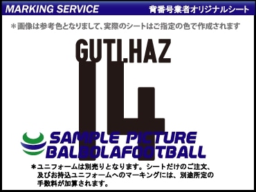 ��ȼ�����쥢��ޥɥ꡼��2009-2010�����ץ�����