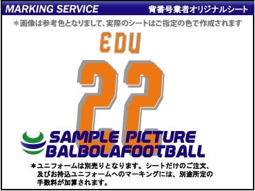 ��ȼ�����Х�󥷥�2008-2009�����ץ�����