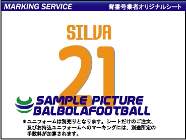 ��ȼ�����Х�󥷥�2009-2010�����ץ�����