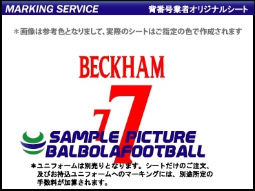 イングランド代表 1999-2000 1999-2000シーズン イングランド代表