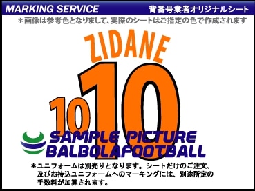 ��ȼ�����ե����ɽ2000�����ץ�����