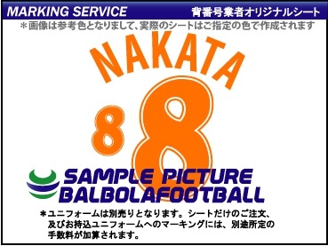 業者製＞日本代表1998タイプシート | その他各国代表のマーキング