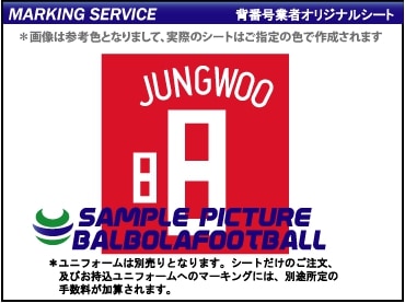 ��ȼ�����ڹ���ɽ2008�����ץ�����