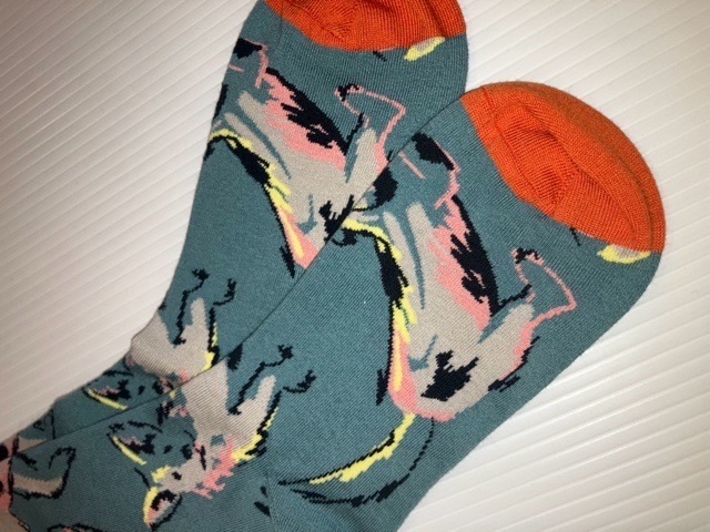 Bonne Maison ボンヌ メゾン 架空の物語 SOCKS ソックス Chiens Arctique FC801
